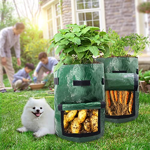 1 Qaxlry Potato-Grow-Bags, Potatoes Growing Containers with Handles&Access  Flap for Garden,Vegetables,Tomato,Carrot